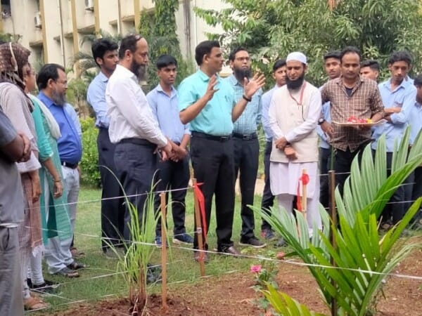 medicinal garden (1)