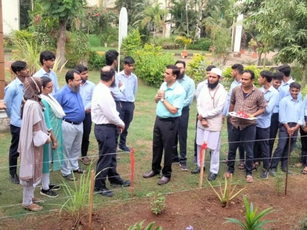 medicinal garden (2)