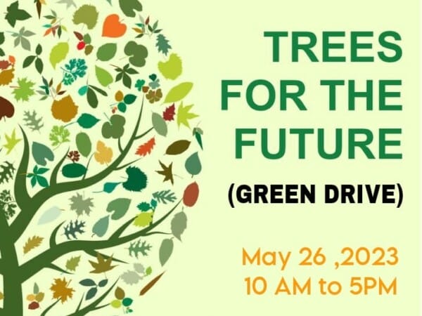 Green Drive Banner